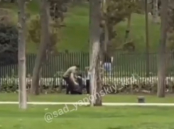 В Краснодаре на видео попала перелезающая через забор в Японский сад семья 