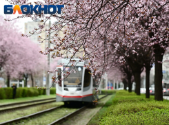 Короткая рабочая неделя ждет краснодарцев в марте 