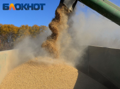 Цены на все виды хлеба взметнулись в Краснодаре