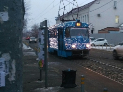 Фотографии новогодних трамваев в Краснодаре набирают популярность
