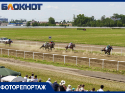 Модницы в шляпках, конный тотализатор и оркестр: краснодарцы массово посетили скачки