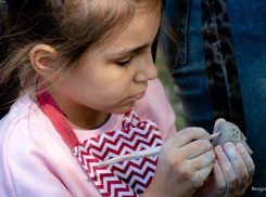 Краснодарцы с особенностями создали дерево-инсталляцию