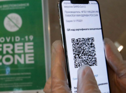 В Краснодарском крае введут QR-коды для посещения торговых центров и общепита