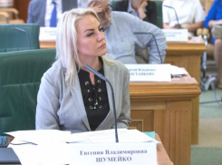 Экс-депутата Заксобрания Краснодарского края Евгению Шумейко приговорили к 7 годам колонии за коммерческий подкуп