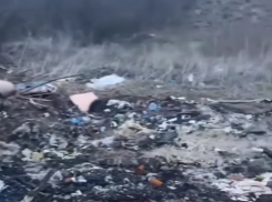 «Черные мусорщики»: еще одна огромная свалка в Краснодаре попала на видео 