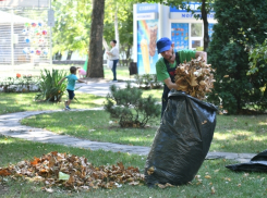 Около 100 тыс человек приняли участие в общегородском субботнике в Краснодаре