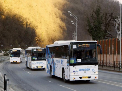 100 дополнительных автобусов появятся в Сочи перед Чемпионатом мира по футболу