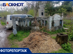 Цветы в воде красного цвета: могилу легендарной краснодарской «ведьмы» забросали ветками
