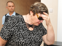 Суд изъял у матери главаря «цапков» три крупных земельных участка