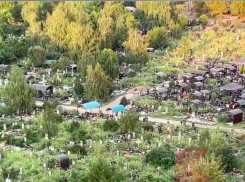 «Пища богов» разрослась на Славянском кладбище Краснодара 