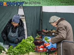 В Краснодаре закрывают МУПы-рынки: судьба предпринимателей под вопросом