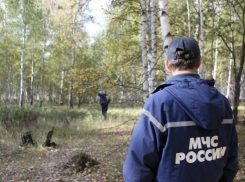 В горах Сочи ищут пропавшего туриста