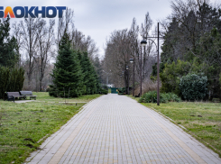 От +10 до 0: температурные пляски устроит зима перед уходом в Краснодаре