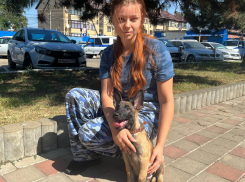 Двухмесячный новобранец поступил на службу в полицию Краснодарского края 