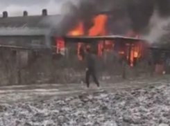 Очевидцы сняли на видео горящий в кубанском поселке дом