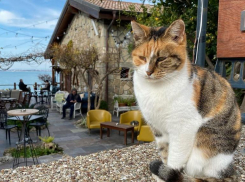 Град, шквалистый ветер и гроза придут на Кубань 