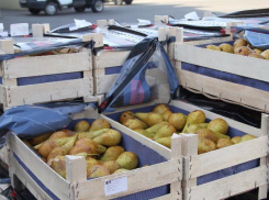 В Краснодаре уничтожили 713,5 кг польских груш и 298 кг испанского перца