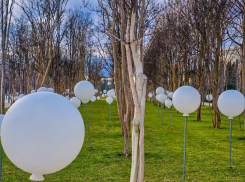 В парке Галицкого установили таблички с названиями растений и QR-кодами