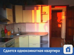 Комфортная однушка сдается в Краснодаре 