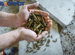 Жителя Краснодарского края заподозрили в подготовке теракта перед выборами