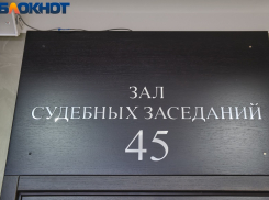 «Закон в России един для всех»: краснодарские политологи о неприкосновенности Собчак