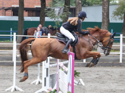 Соревнования по конному спорту прошли в Краснодарском крае
