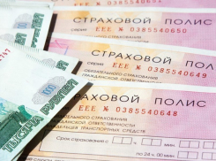 В Краснодаре стоимость полиса ОСАГО  может вырасти в 3–3,4 раза 