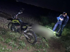 В смертельном ДТП на Кубани погиб водитель питбайка