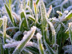 Экстренное предупреждение по заморозкам объявили в Краснодарском крае