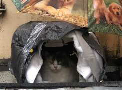 Ливни и штормовой ветер обрушатся на Краснодарский край