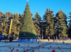 В Краснодарском крае глава района пристыдил чиновников за «голую» ёлку