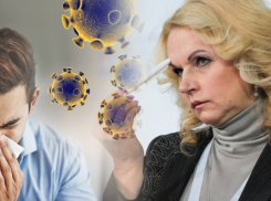 На Кубани введут нерабочие дни с 23 октября по 7 ноября?