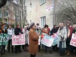 В Краснодаре прошел митинг против вырубки деревьев на Ростовском шоссе