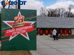 Возложения цветов, спортивные турниры и выставки: афиша мероприятий к 23 Февраля в Краснодаре