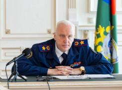 Нападение женщины на ребенка в поезде привлекло внимание Бастрыкина