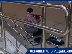 Пенсионерка в Краснодаре на холоде зарабатывает игрой песни Jingle Bells