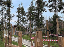 Строительство японского сада в парке «Краснодар» приостановили
