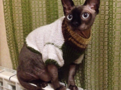 На Краснодарский край надвигается резкое похолодание