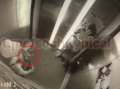 В Сочинском торговом центре извращенец мастурбировал на глазах у незнакомки