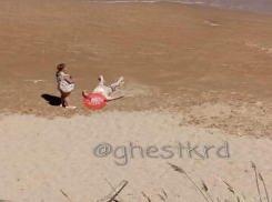 На Кубани утонули женщина с ребенком и мужчина, пытавшийся их спасти