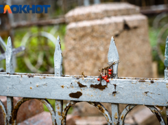 В МЦУ Краснодара признали непрезентабельность вида Всесвятского кладбища из-за разбросанных на могилах веток и мусора