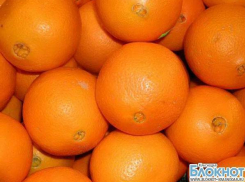 Туапсе: апельсины отдельно, мухи отдельно