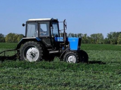 Фермеры Кубани нашли решение, как использовать невостребованные земли