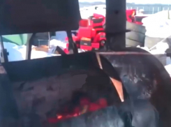 Опубликовано видео уничтожения в Краснодаре тонны красного перца из Польши