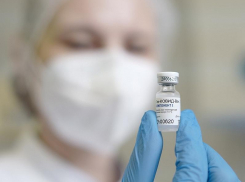 На Кубани прививку от коронавируса сделали более 450 тысяч человек