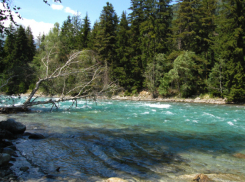 Экстренное предупреждение: река Лаба вскоре поднимется до опасной отметки