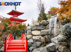 Японский сад парка Галицкого переделали ради безопасности