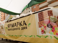 В Краснодаре на ярмарки выходного дня приехали 600 кубанских фермеров