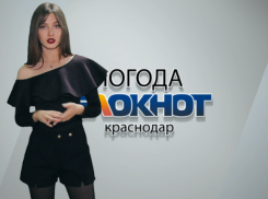 Какая погода будет в Краснодарском крае 24 и 25 ноября