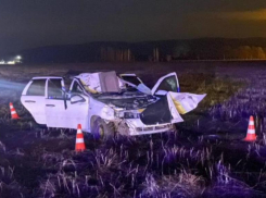 В Адыгее пассажирка авто погибла из-за внезапно выбежавшей лошади